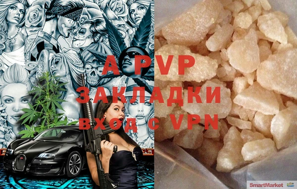 сатива Белокуриха