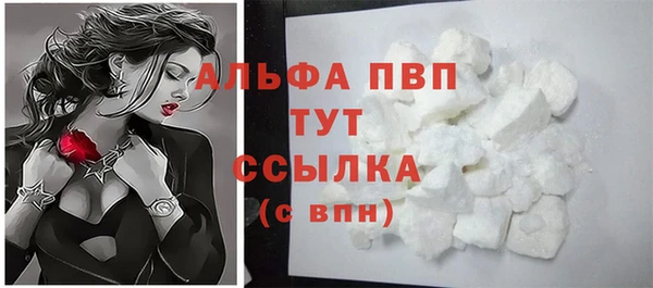 сатива Белокуриха