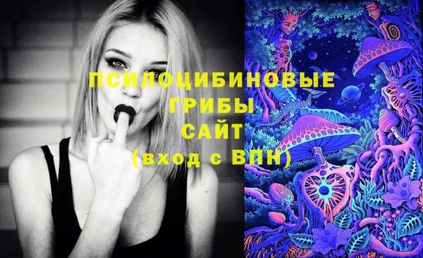 сатива Белокуриха