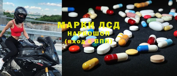 сатива Белокуриха